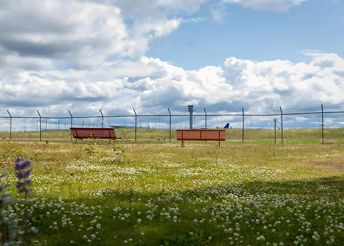 Comfort Hotel Runway